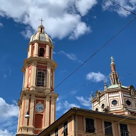 Fernanda * راباللو